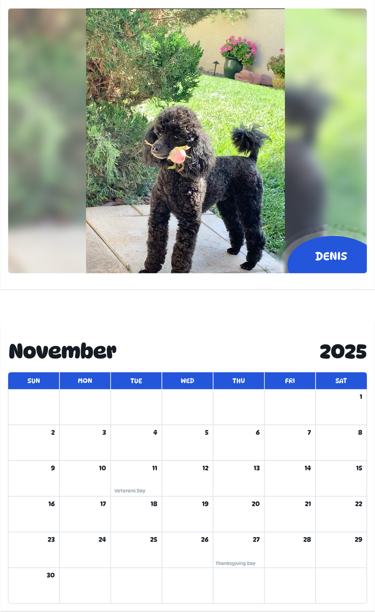 July 2025 - June 2026 Denis - Pawidols Pet Calendar
