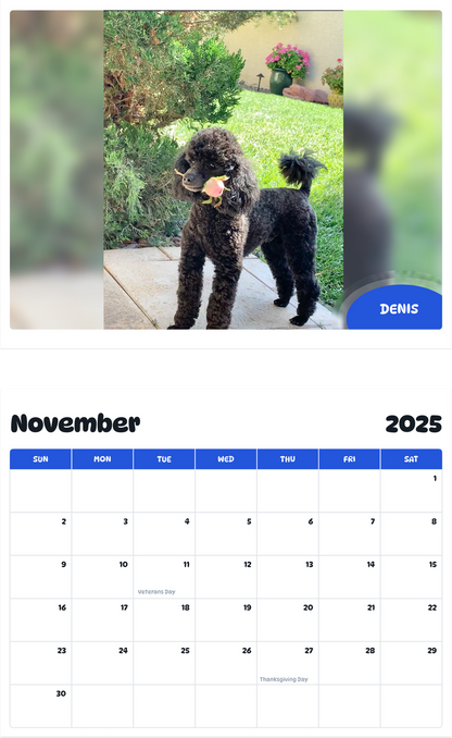 July 2025 - June 2026 Denis - Pawidols Pet Calendar