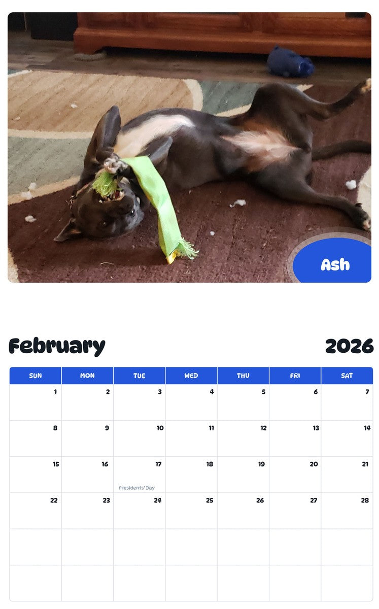 October 2025 - September 2026 Ash - Pawidols Pet Calendar
