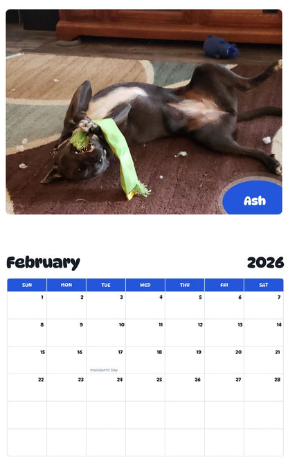 October 2025 - September 2026 Ash - Pawidols Pet Calendar