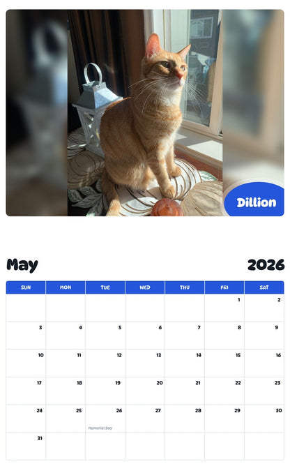 2026 - 2027 Dillion - Pawidols Pet Calendar