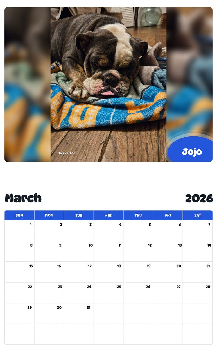 November 2025 - October 2026 Jojo - Pawidols Pet Calendar