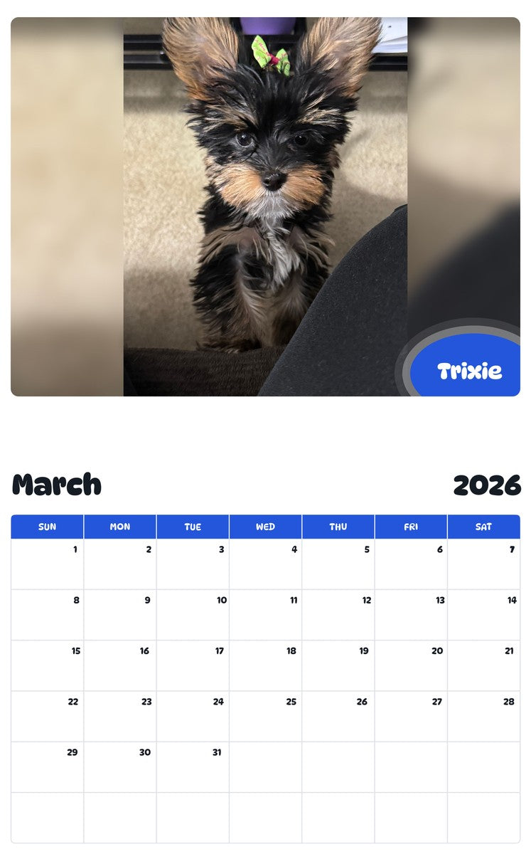November 2025 - October 2026 Trixie - Pawidols Pet Calendar