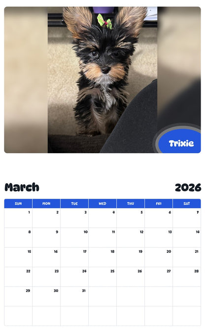 November 2025 - October 2026 Trixie - Pawidols Pet Calendar