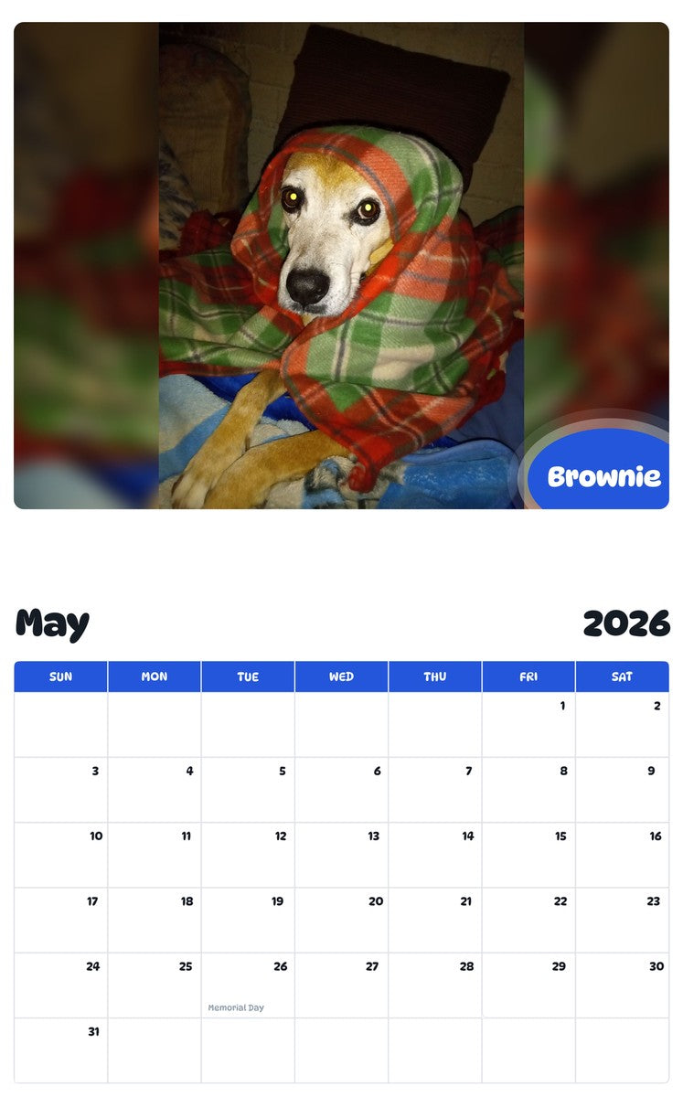 2026 - 2027 Brownie - Pawidols Pet Calendar
