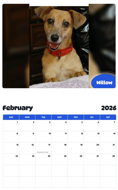 October 2025 - September 2026 Willow - Pawidols Pet Calendar