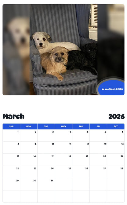 November 2025 - October 2026 Lu Lu, Jaxon & Bella - Pawidols Pet Calendar