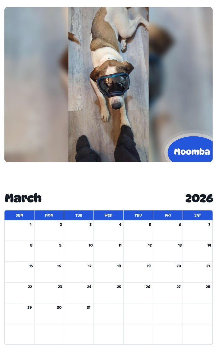 November 2025 - October 2026 Moomba - Pawidols Pet Calendar
