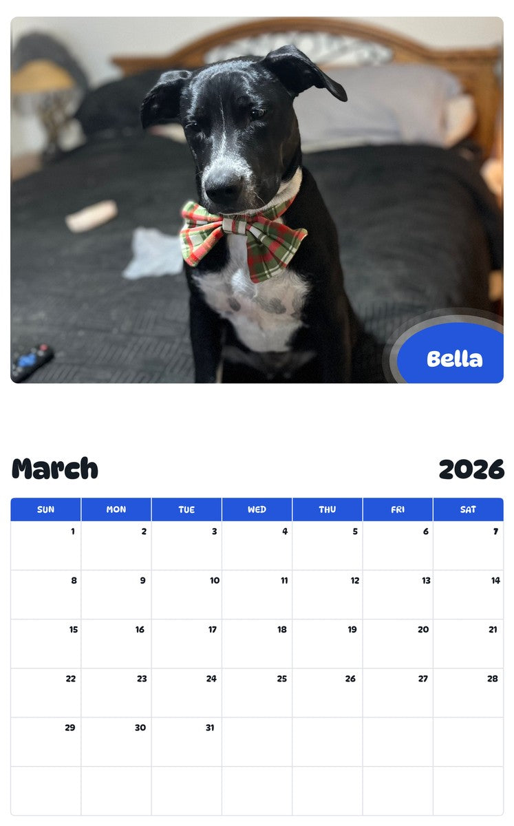 November 2025 - October 2026 Bella - Pawidols Pet Calendar