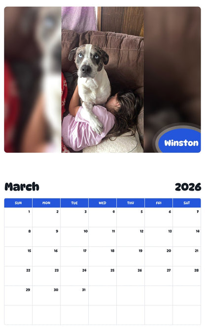 November 2025 - October 2026 Winston - Pawidols Pet Calendar