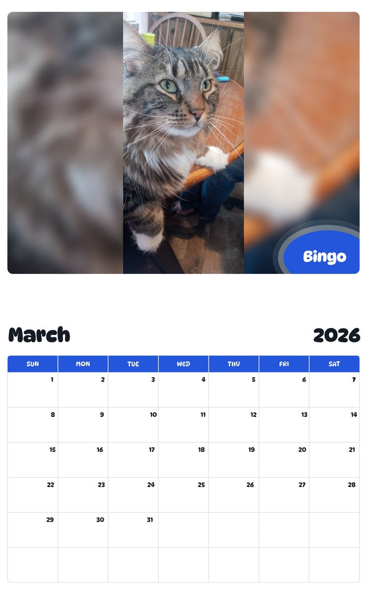 November 2025 - October 2026 Bingo - Pawidols Pet Calendar