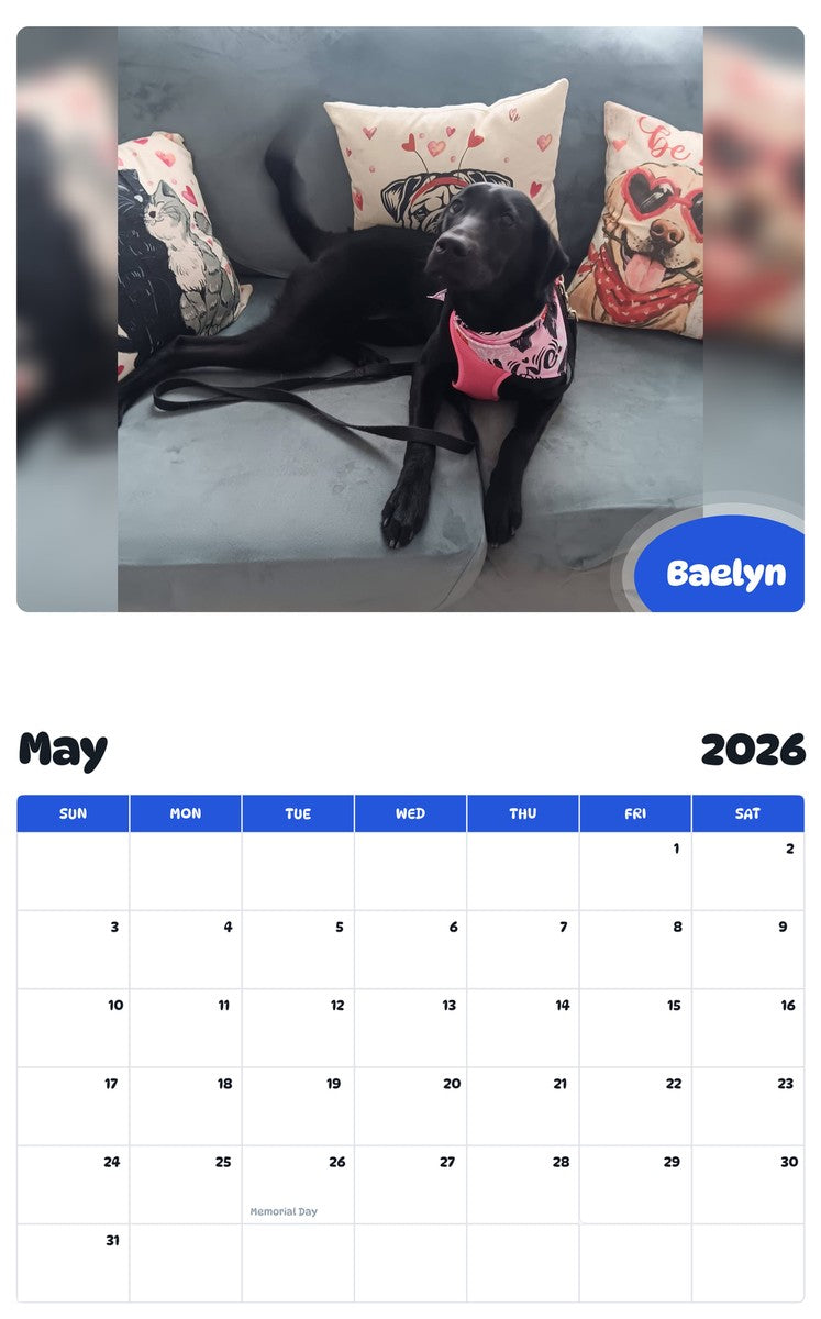 2026 - 2027 Baelyn - Pawidols Pet Calendar