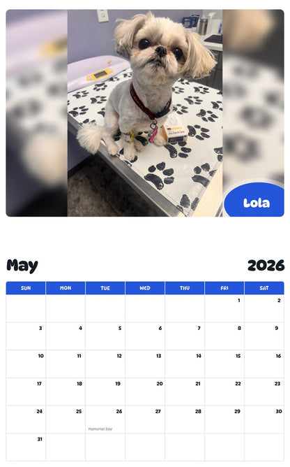 2026 - 2027 Lola - Pawidols Pet Calendar