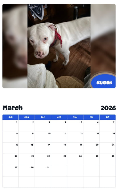November 2025 - October 2026 RUGER - Pawidols Pet Calendar