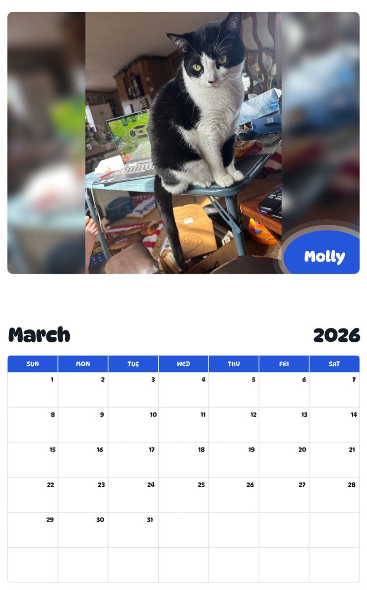 November 2025 - October 2026 Molly - Pawidols Pet Calendar