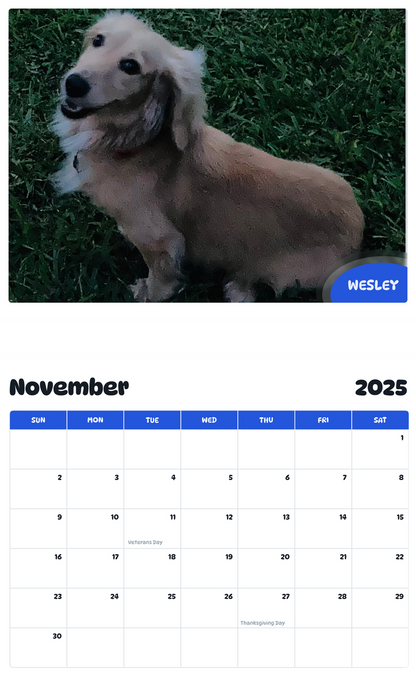 July 2025 - June 2026 Wesley - Pawidols Pet Calendar