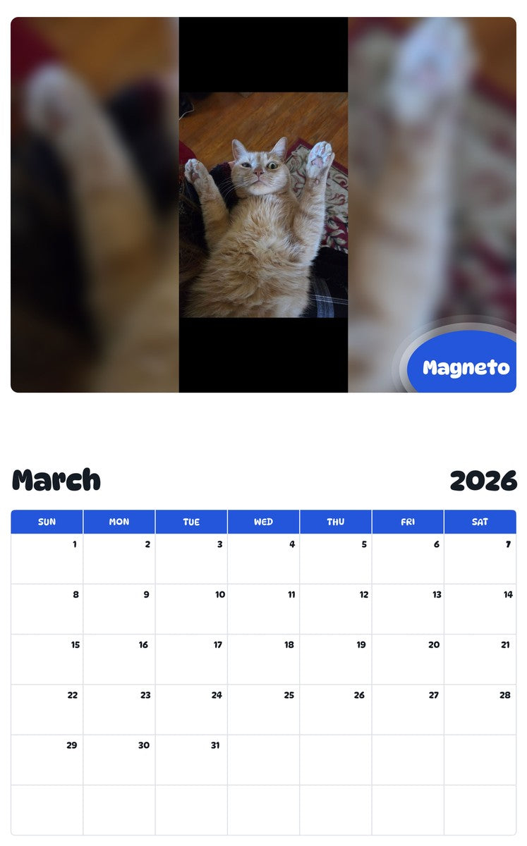 November 2025 - October 2026 Magneto - Pawidols Pet Calendar