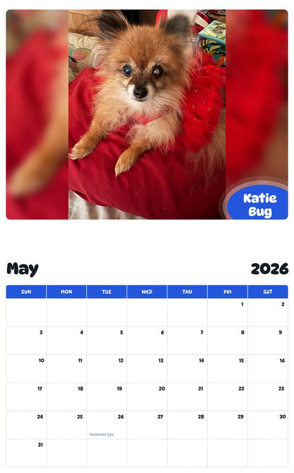 2026 - 2027 Katie Bug - Pawidols Pet Calendar