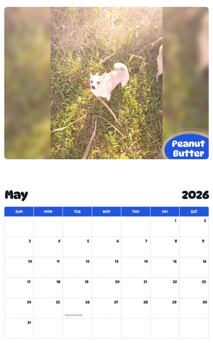 2026 - 2027 Peanut Butter - Pawidols Pet Calendar