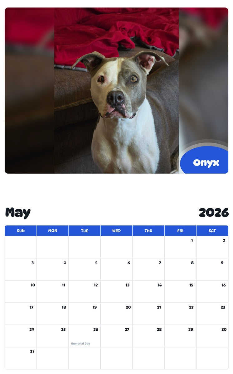 2026 - 2027 Onyx - Pawidols Pet Calendar
