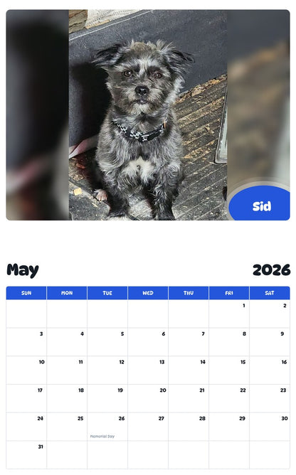 2026 - 2027 Sid - Pawidols Pet Calendar