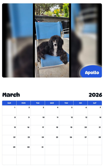 November 2025 - October 2026 Apollo - Pawidols Pet Calendar