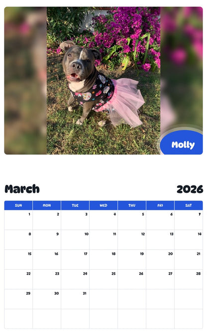 November 2025 - October 2026 Molly - Pawidols Pet Calendar