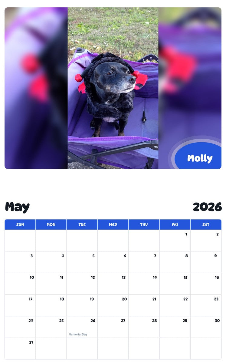 2026 - 2027 Molly - Pawidols Pet Calendar