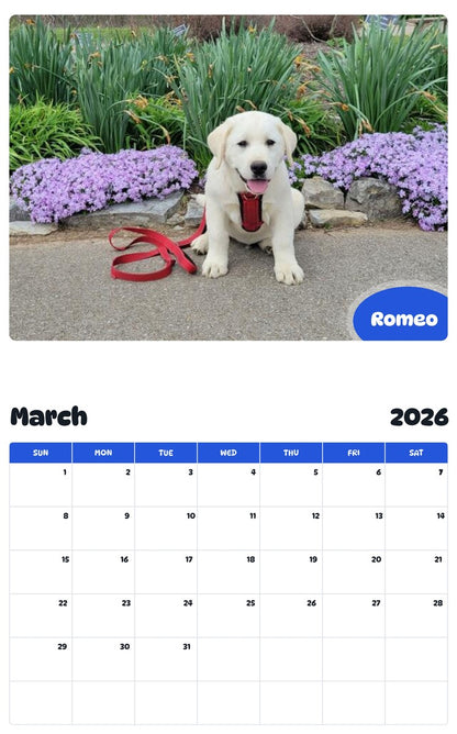 November 2025 - October 2026 Romeo - Pawidols Pet Calendar