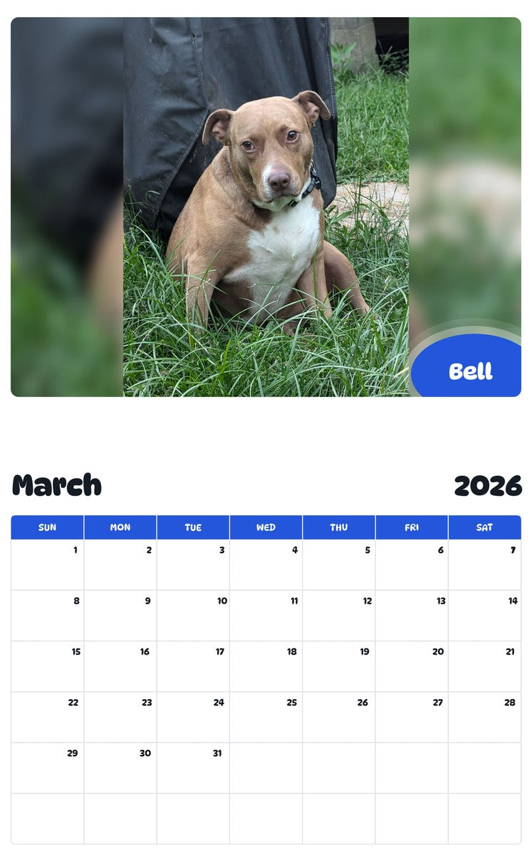 November 2025 - October 2026 Bell - Pawidols Pet Calendar