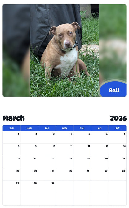 November 2025 - October 2026 Bell - Pawidols Pet Calendar