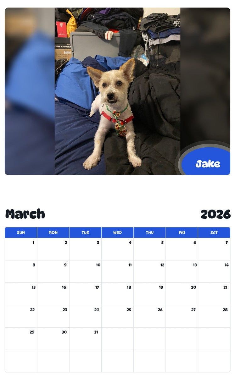 November 2025 - October 2026 Jake - Pawidols Pet Calendar