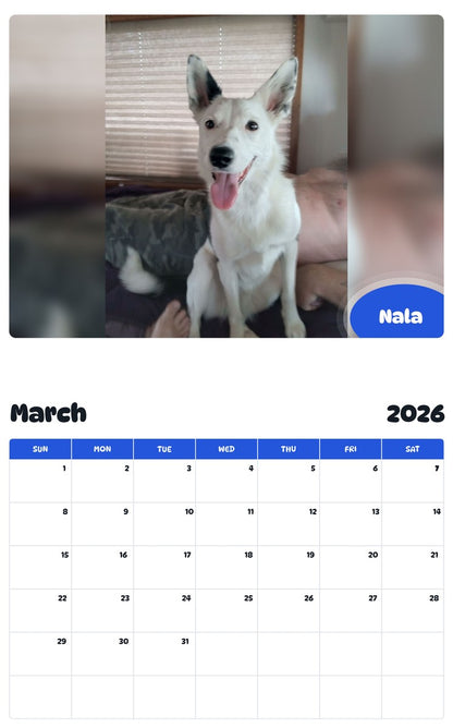 November 2025 - October 2026 Nala - Pawidols Pet Calendar