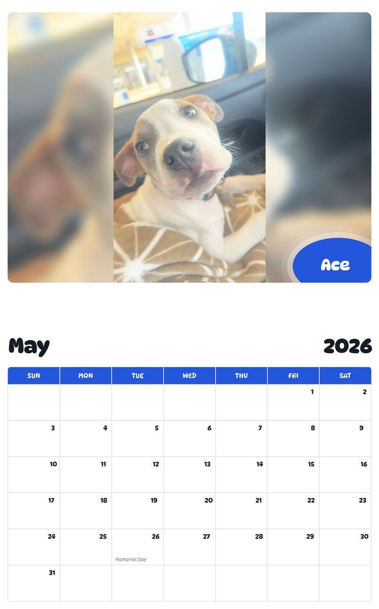 2026 - 2027 Ace - Pawidols Pet Calendar