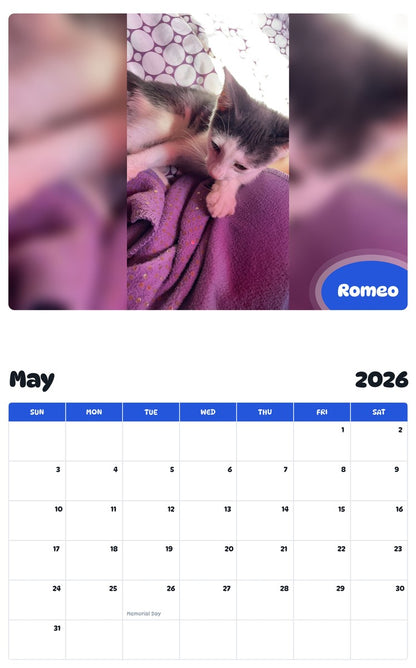 2026 - 2027 Romeo - Pawidols Pet Calendar