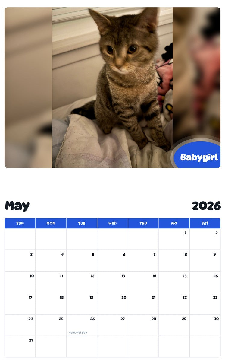 2026 - 2027 Babygirl - Pawidols Pet Calendar