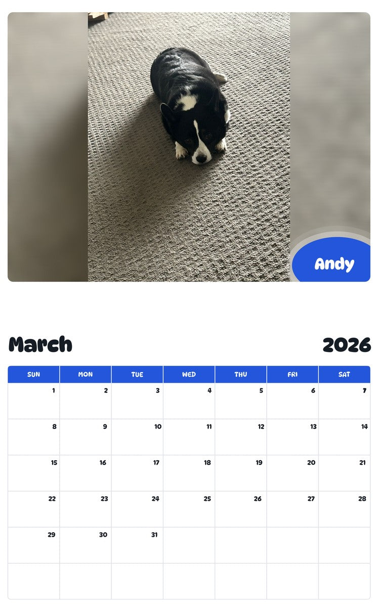 November 2025 - October 2026 Andy - Pawidols Pet Calendar