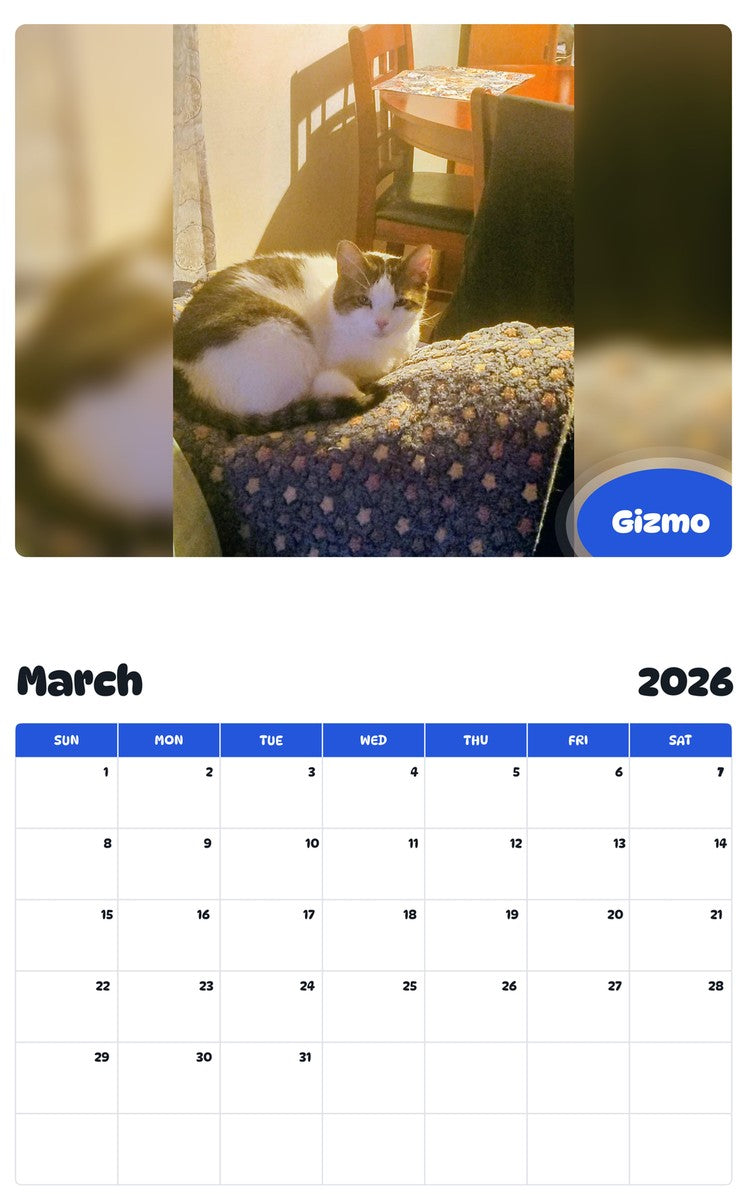 November 2025 - October 2026 Gizmo - Pawidols Pet Calendar