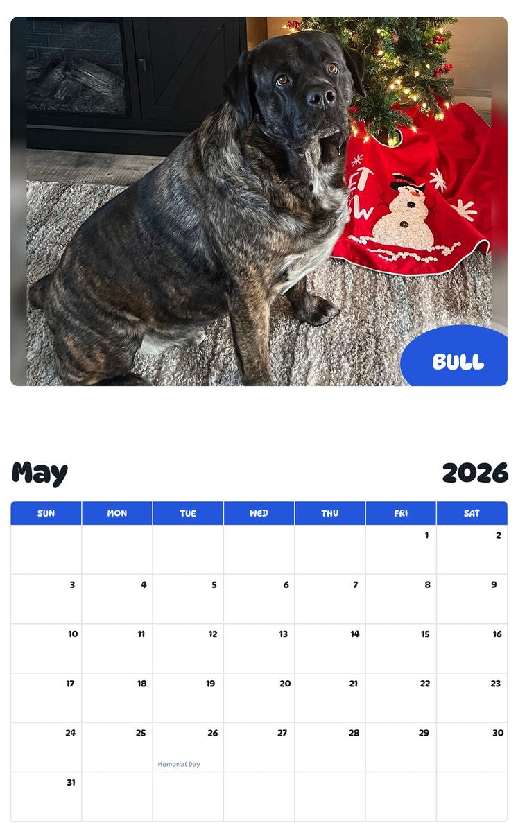 2026 - 2027 BULL - Pawidols Pet Calendar