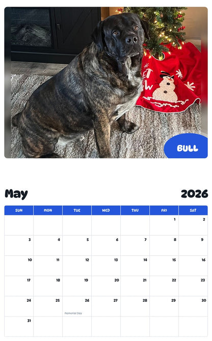2026 - 2027 BULL - Pawidols Pet Calendar