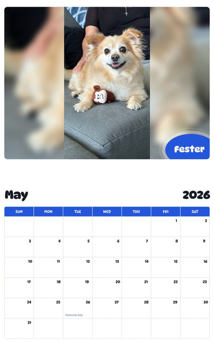 2026 - 2027 Fester - Pawidols Pet Calendar