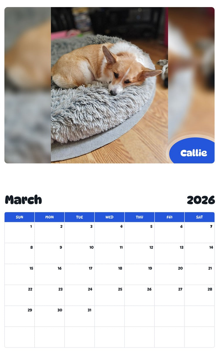 November 2025 - October 2026 Callie - Pawidols Pet Calendar