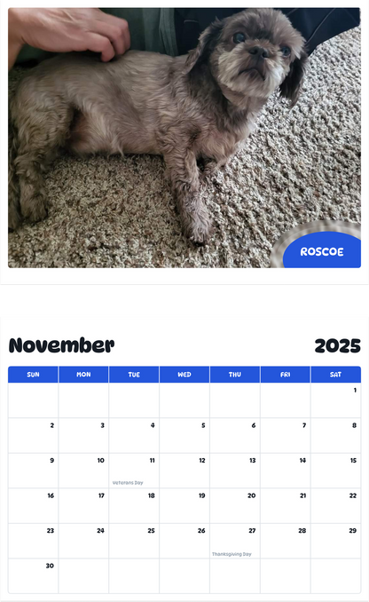 July 2025 - June 2026 Roscoe - Pawidols Pet Calendar