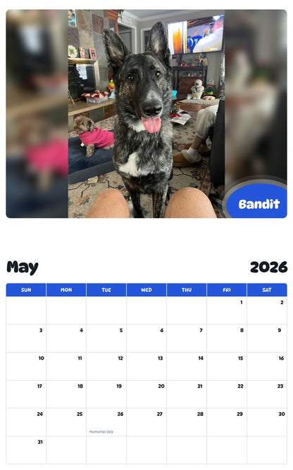 2026 - 2027 Bandit - Pawidols Pet Calendar