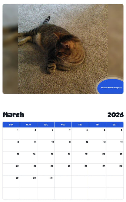 November 2025 - October 2026 Precious whiskers Owings 🥀🥀 - Pawidols Pet Calendar