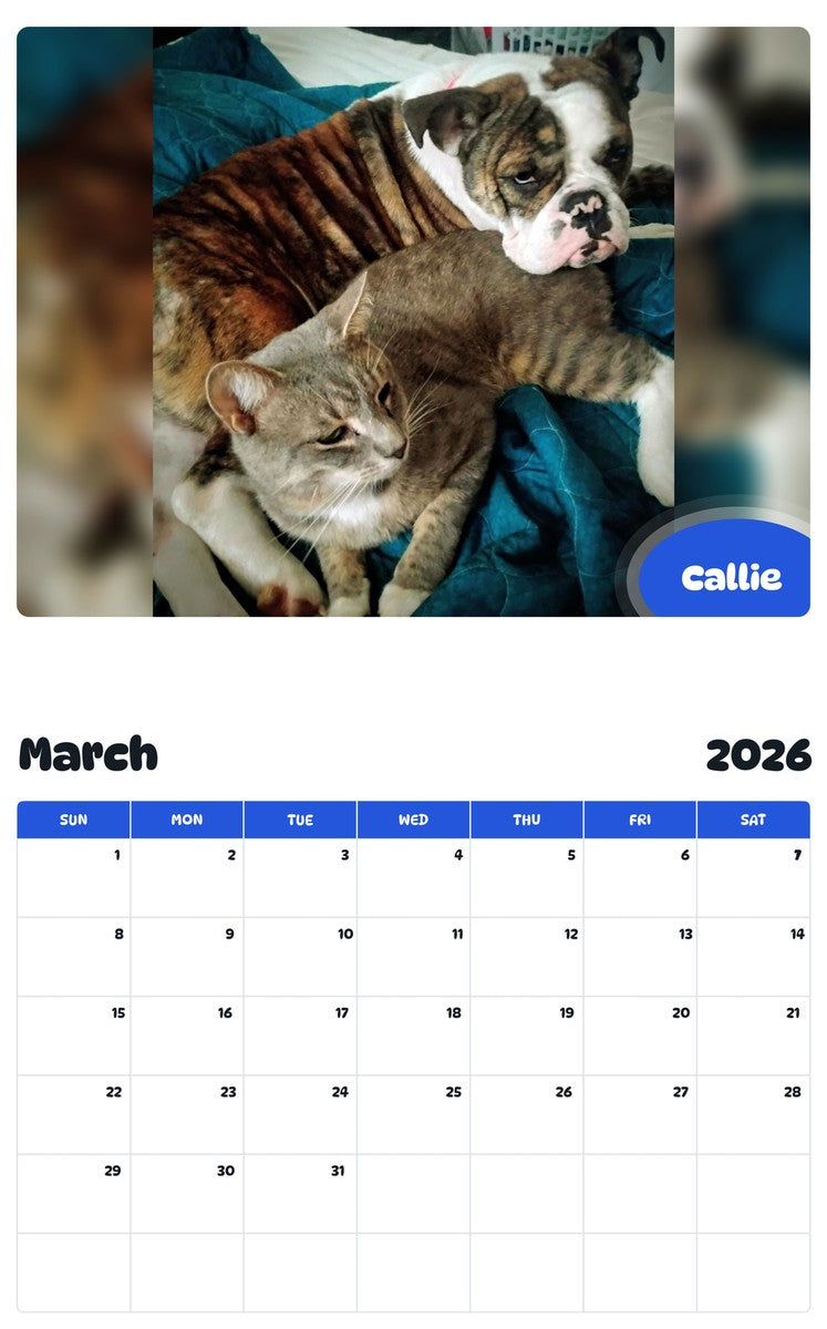 November 2025 - October 2026 Callie - Pawidols Pet Calendar