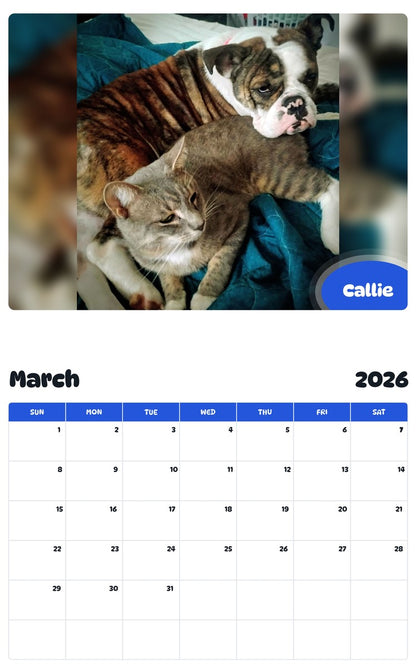 November 2025 - October 2026 Callie - Pawidols Pet Calendar
