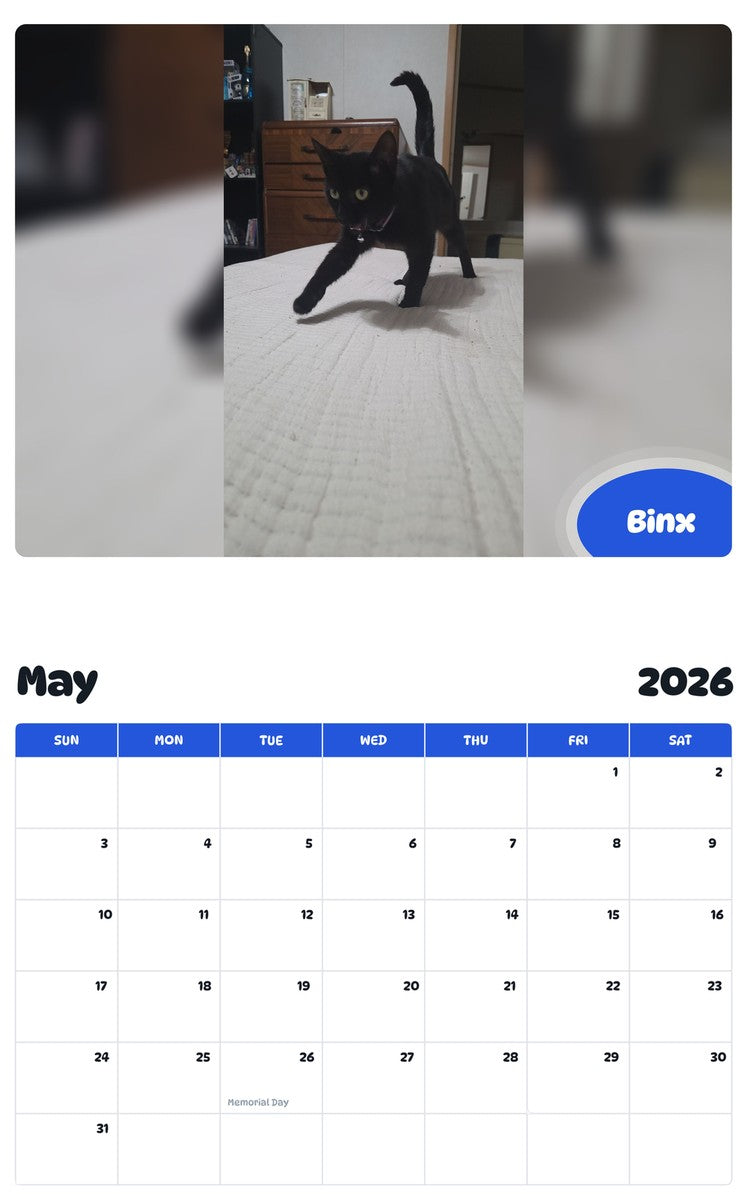 2026 - 2027 Binx - Pawidols Pet Calendar