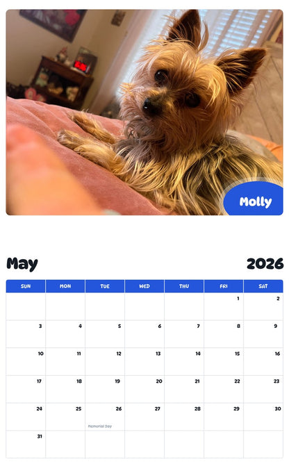 2026 - 2027 Molly - Pawidols Pet Calendar