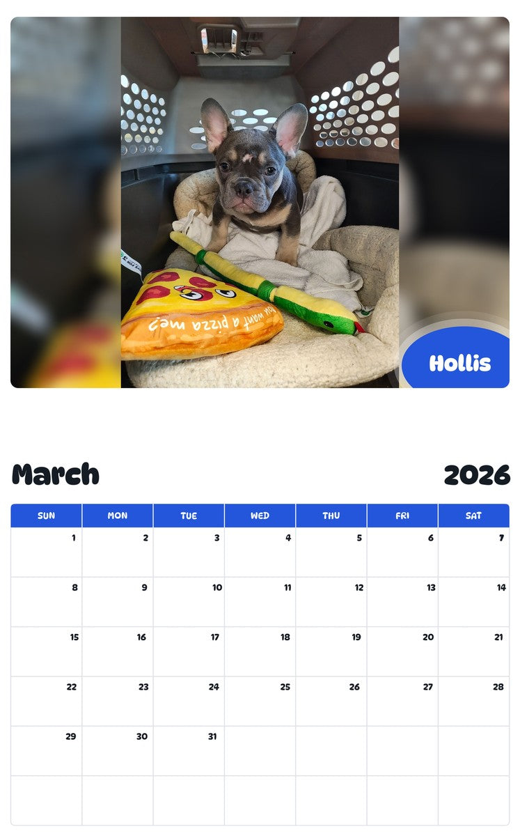 November 2025 - October 2026 Hollis - Pawidols Pet Calendar